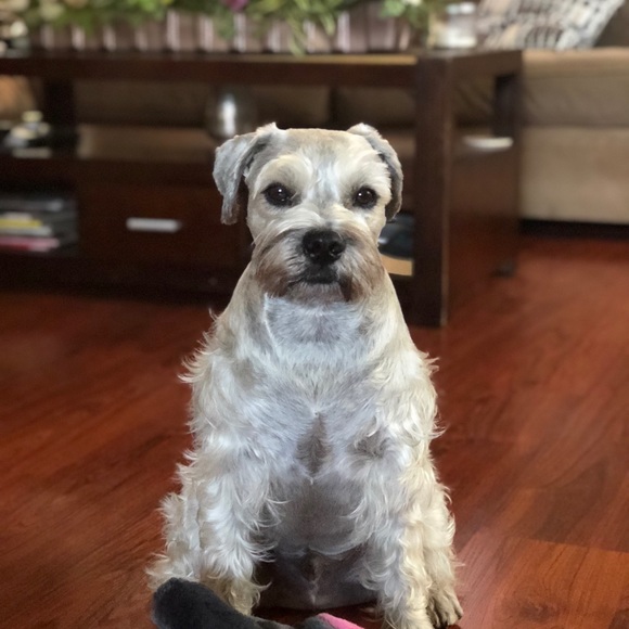 Meet your Posher, Christine - Picture 3 of 3